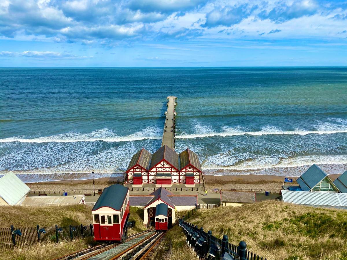 Driftwood Saltburn-by-the-Sea